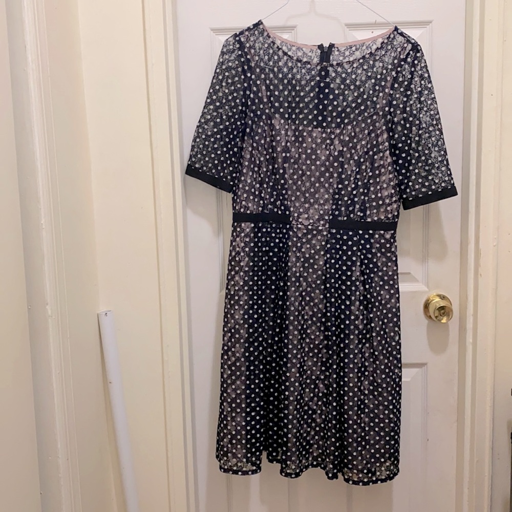 Adrianna Pappell Polka dot Navy Blue A-Line dress